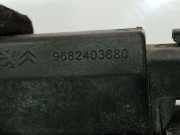 Kennzeichenleuchte Peugeot 207, 2006.02 - 2009.06 9682403680, 9682403680