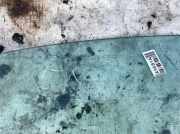 Seitenscheibe - Vorne Linke Opel Insignia A, 2013.01 - 2017.06 facelift M550AS2, 43R-000056