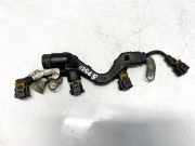 Kabelbaum Opel Insignia A, 2008.01 - 2013.01 55572001,