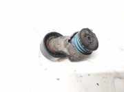 Spannrolle Nissan Almera, N16 2003.01 - 2006.12 facelift 8200048486,