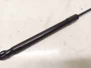 Gasfeder für Motorhaube BMW X6, E71E72 2008.01 - 2014.06 Gebraucht,