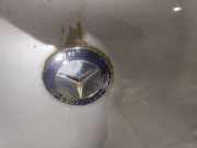 Emblem Mercedes-Benz A-CLASS, W169, 2008.09 - 2012.06 facelift Gebraucht,