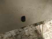 Waschwasserd?se Scheibenreinigung Toyota Corolla, 2004.02 - 2007.02 facelift Gebraucht,