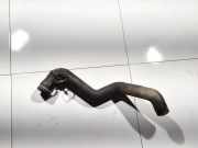 Kühlerschlauch Fiat Punto, 1999.09 - 2005.10 Gebraucht,