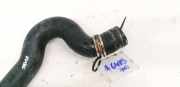 Kühlerschlauch Citroen C5, I 2001.03 - 2008.02 Gebraucht ,
