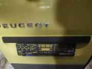 Kennzeichenleuchte Peugeot Boxer, 2006.04 - 2014.06 Gebraucht,
