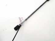 Gasdruckfeder Kofferraum Skoda Octavia, II 2004.02 - 2009.03 Gebraucht,