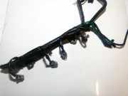 Kraftstoffverteiler Suzuki Swift, 2005.02 - 2010.10 Gebraucht,