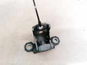 Türscharnier Vorne Renault Vel Satis, 2002.06 - 2009.12 Gebraucht,