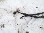 Servoleitung Leitung Servo Servoschlauch Schlauch Kia Ceed, I 2006.12 - 2010.05 Gebraucht,