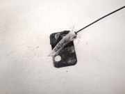 T?rscharnier Vorne Audi A6, C6 2005.01 - 2008.10 Gebraucht,