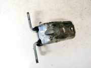 Türscharnier Vorne Hyundai Santa Fe, 2006.03 - 2012.09 Gebraucht,