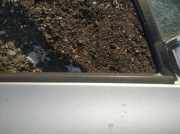 Zierleiste Leiste - Vorne Rechts Toyota Yaris, II (XP90) 2005.01 - 2011.01 Gebraucht,