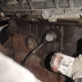 Klopfsensor Detonationssensor Schallsensor Sensor Chevrolet Aveo, 2007.12 - 2011.06 facelift Gebraucht,