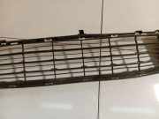 Kühlergrill - Vorne Center Citroen C4 Grand Picasso, I 2006.01 - 2013.06 54196377,54196377 C04 81016 C0481016