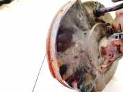 Bremskraftverstärker Skoda Superb, II 2008.03 - 2013.06 1k1614105bn, 251178649702 2838204771