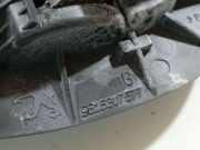 Türinnengriff - Hinten Linke Peugeot 406, 1999.03 - 2004.05 facelift 9616307577, 9616307577