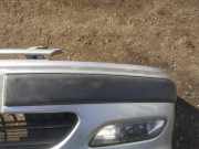 Zier-Schutzleistensatz für Stoßfänger - Vorne Linke Peugeot 406, 1995.11 - 1999.03 Gebraucht,