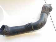 Schlauch für Luftversorgung Volkswagen Polo, III 1999.10 - 2001.09 facelift 6n0129615c, px0446056 ASX