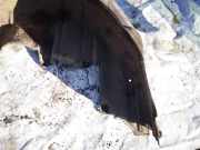 Radhausschale - Hinten Rechts Lexus IS, II 2005.10 - 2013.03 Gebraucht,