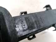 Lampenträger Heckleuchte - Hinten Renault Espace, IV 2002.11 - 2014.12 89028832,