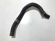 Kühlerschlauch Toyota Prius, 2003.06 - 2009.01 Gebraucht,