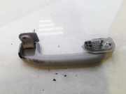 Haltegriff Haltegriff Verdeckgriff - Hinten Linke Renault Koleos, I 2007.01 - 2011.06 GR010PNK2,