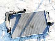 Wasserkühler Toyota RAV-4, III 2005.11 - 2012.12 Gebraucht,