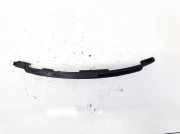 Gleitschiene Steuerkette Toyota Prius, 2003.06 - 2009.01 Gebraucht,
