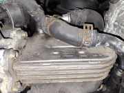 Abgaskühler AGR-Kühler Audi A6, C6 2005.01 - 2008.10 059131512, 1790898