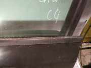 Zierleiste Leiste - Vorne Linke Citroen C4, I 2008.06 - 2010.01 facelift Gebraucht,