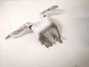 Türscharnier Vorne Renault Zoe I 2012 - 2020.06 Gebraucht,