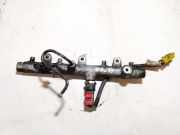Kraftstoffverteiler Citroen C5, I 2001.03 - 2008.02 0445214019,053951