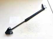 Gasdruckfeder Kofferraum Nissan Leaf, I 2010 - 2017.12 904503nl1a,