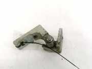 Türscharnier Vorne Fiat Stilo, 2001.10 - 2007.01 Gebraucht,