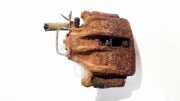 Bremssattel - Vorne Rechts Volkswagen Passat, B5 1996.08 - 2000.11 Gebraucht, AFN