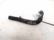 K?hlerschlauch Renault Laguna, I 1994.01 - 2001.03 Gebraucht,