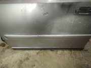 Zierleiste Tür Zier-Schutzleiste - Vorne Linke Nissan X-Trail, 2001.06 - 2007.06 Gebraucht,