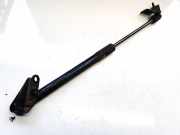 Gasdruckfeder Kofferraum Nissan Leaf, I 2010 - 2017.12 904503nl1a,