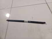 Zierleiste Leiste - Hinten Rechts Mazda 2, DY 2003.02 - 2007.10 Gebraucht ,