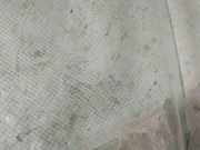 Seitenscheibe - Vorne Linke Mitsubishi Outlander, I 2003.01 - 2006.12 as2,