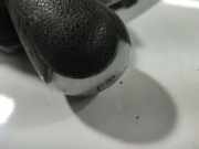 Schalthebelknopf Ford C-MAX, 2003.01 - 2007.06 3M51R045B79CBWDBW, 3M51-R045B79-CBW DBW BXM EB BXMEB