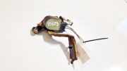 Motor Leuchtweitenregulierung Opel Signum, 2003.05 - 2008.06 24417126, 0837596 6pm008518-38
