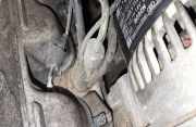 Einspritzdüse Chrysler Voyager, III 1995.09 - 2001.03 Gebraucht,