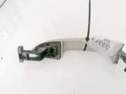 Türgriff Türaussengriff - Hinten Linke Volkswagen Passat, B6 2005.08 - 2010.11 3C0837209, bvy