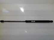 Gasdruckfeder Kofferraum Opel Vectra, C 2002.04 - 2005.10 9180255,0482r 0680n