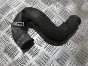 K?hlerschlauch Opel Signum, 2003.05 - 2008.06 9202112,