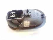 Türinnengriff - Vorne Linke Renault Scenic, II 2003.06 - 2006.06 8200028487, 5005400006