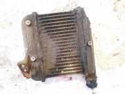 Ladeluftkühler Nissan Primera, P12 2002.01 - 2008.12 Gebraucht,