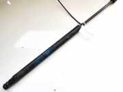 Gasdruckfeder Kofferraum Hyundai Santa Fe, 2000.11 - 2006.03 8116126021,